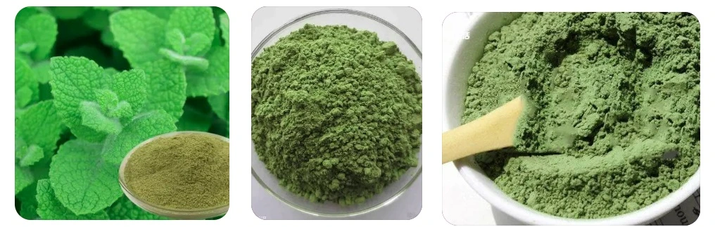 E. K Herb Supply Peppermint Leaf Extract Powder for Health Care 100% Natural Peppermint Leaf Powder, Organic Peppermint Leaf Powder