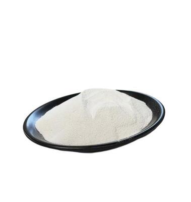 Food Grade Anti Aging CAS 23111-00-4 99% Nicotinamide Riboside Chloride Nrc Nr-Cl Powder