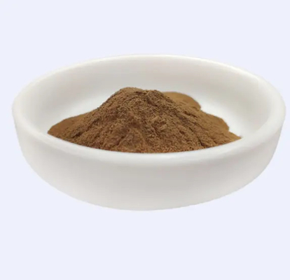 Yüksek Etkililik % 100 Doğal Hamamelis Virginiana Witch Hazel Ekstraksiyonu Kozmetik İçin Hammadde Kaynağı 24 Ay