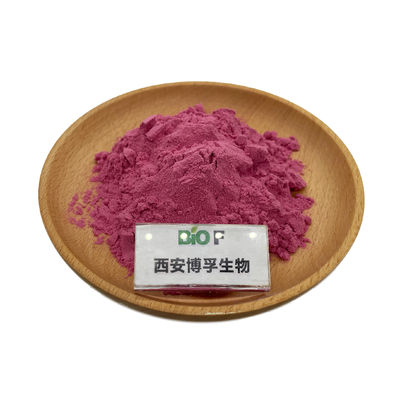 Fabrika Tedarikleri Cranberry Ekstraktı Tozu Cranberry Meyve suyu Tozu Cranberry Tozu